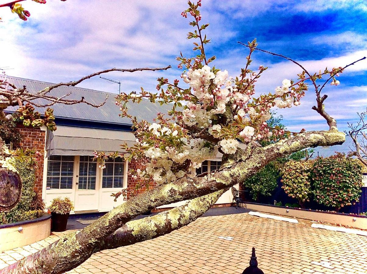 Bed and Breakfast Kurrajong House Launceston Zewnętrze zdjęcie