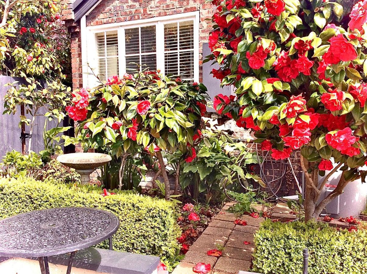 Bed and Breakfast Kurrajong House Launceston Zewnętrze zdjęcie